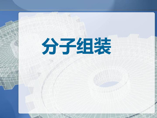 分子组装