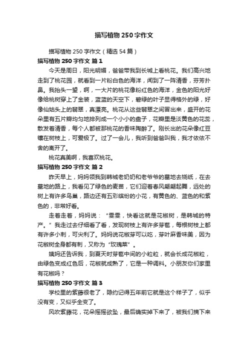 描写植物250字作文（精选54篇）