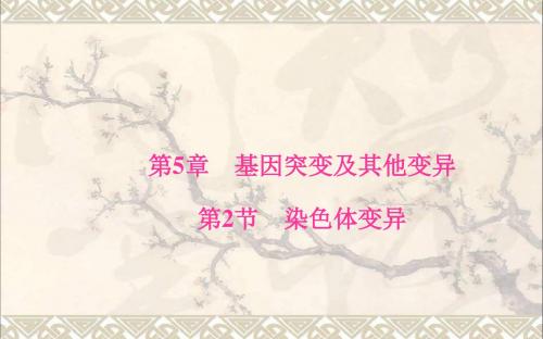 高中生物第5章基因突变及其他变异第2节染色体变异课件新人教版必修2