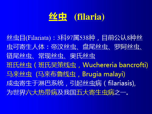 寄生虫学  丝虫粪圆