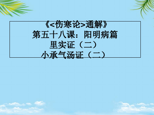 【精】《伤寒论通解》第五十八课阳明病篇里实证候小承气汤