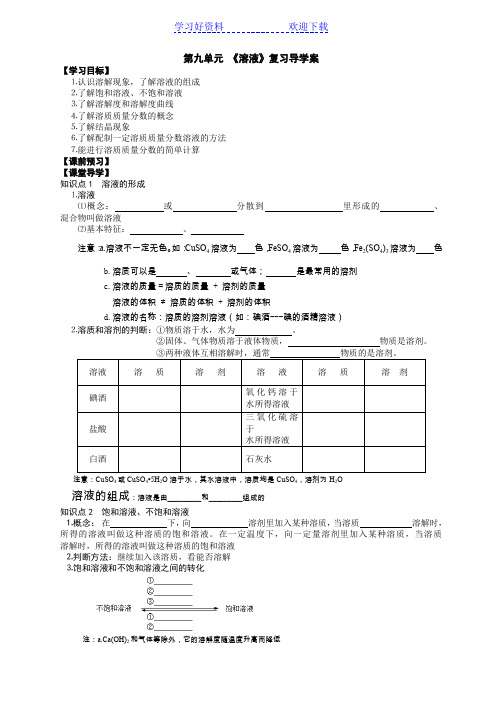 九年级化学第九单元复习导学案