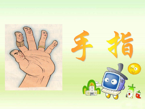 5、人教版六下《手指》PPT课件