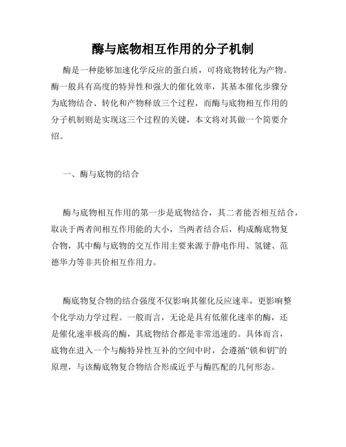 酶与底物相互作用的分子机制