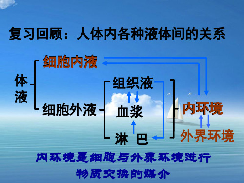 内环境稳态的重要性ppt教学课件