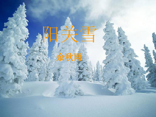 《阳关雪》精选教学PPT课件2