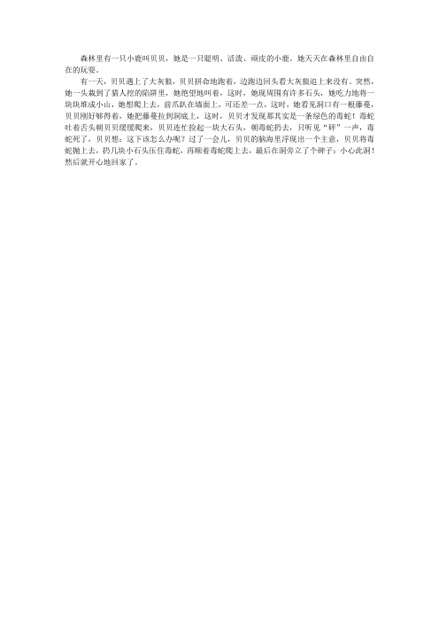 贝贝的故事