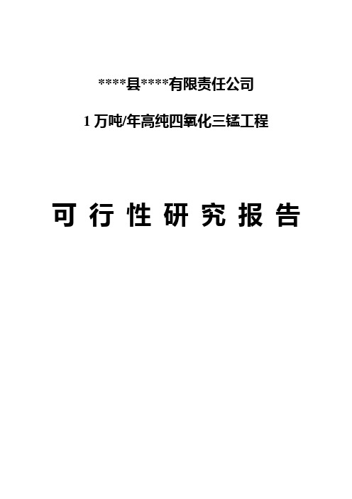 年产1万吨高纯四氧化三锰工程项目可行性研究报告(150页优秀可研报告)