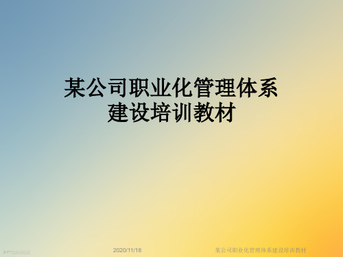 某公司职业化管理体系建设培训教材