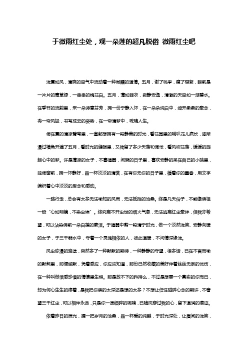 于微雨红尘处,观一朵莲的超凡脱俗 微雨红尘吧
