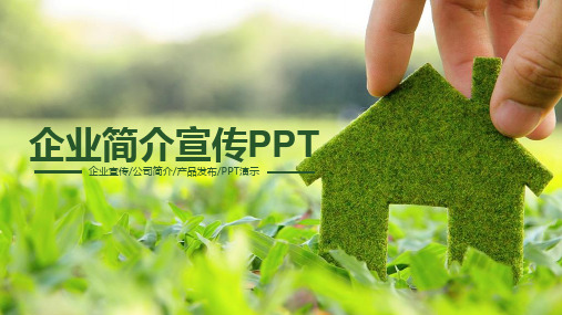 印尼国家石油公司简介PPT