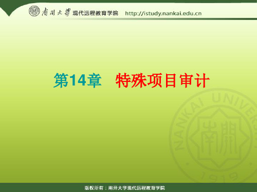 第14章   特殊项目审计