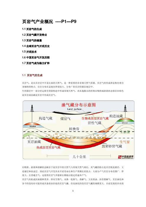 页岩气产业报告