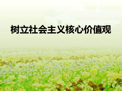 《树立社会主义核心价值观》PPT-模板