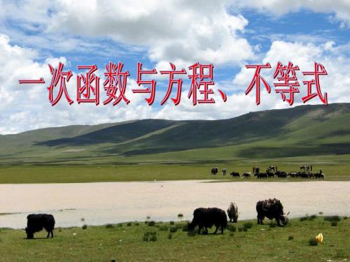 一次函数与方程不等式