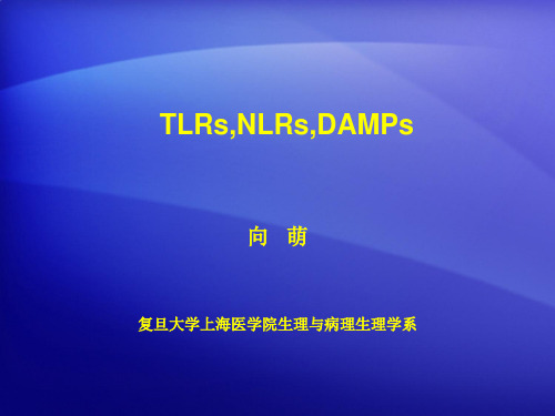 模式识别受体