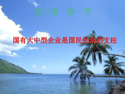国有大中型企业是国民经济的支柱