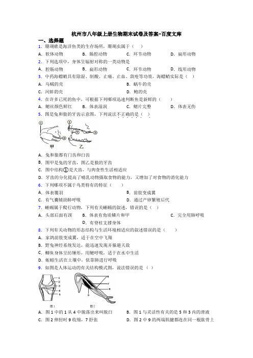 杭州市八年级上册生物期末试卷及答案-百度文库