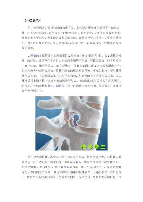 北京东方京城中医院骨科颈腰椎病的X线检查的方法与特点