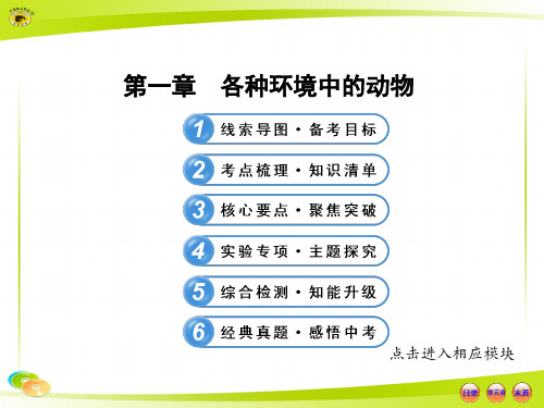 人教版   初中生物  中考复习  八上  第五单元  第一章  各种环境中的动物