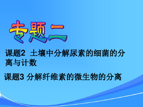 课件38尿素纤维素分解