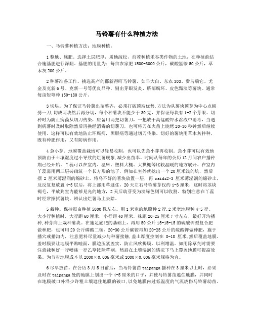 马铃薯有什么种植方法