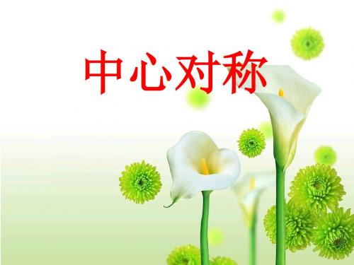 八年级下册数学课件-11.3《图形的中心对称》课件2 青岛版