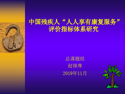 中国残疾人“人人享有康复服务”评价指标体系课题构想共44页