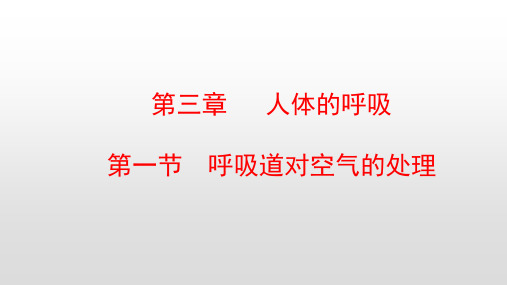 最新人教版七年级生物下册第三章人体的呼吸PPT