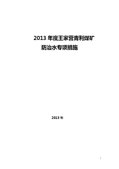 2013年度防治水专项措施