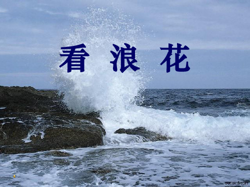 《看浪花》  优秀PPT课件4