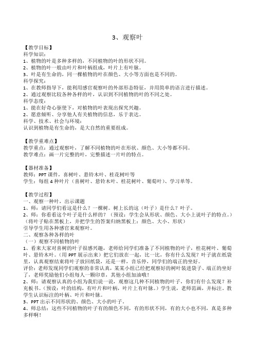 一年级科学上册教案 -《3.观察叶》   教科版