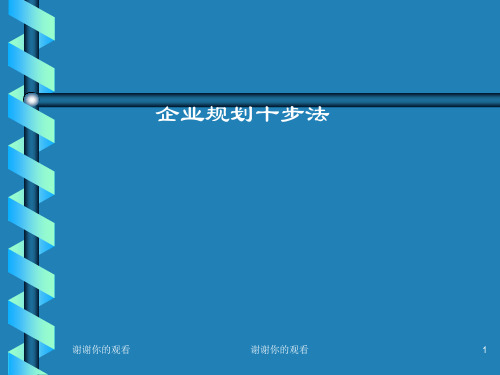企业规划十步法.ppt
