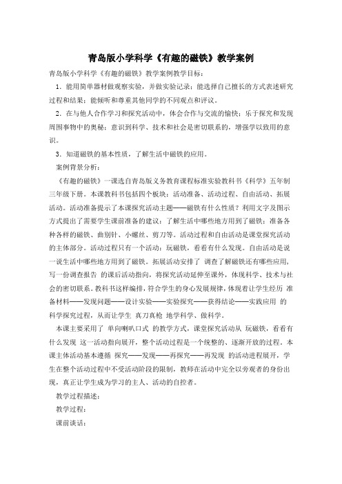 青岛版小学科学《有趣的磁铁》教学案例