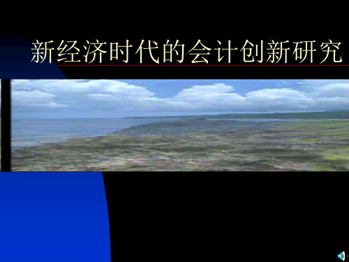 新经济时代的会计创新研究(PPT37页)