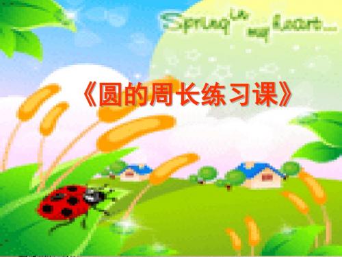 《圆的周长练习》PPT课件.ppt