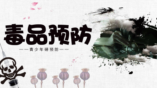 毒品预防青少年禁毒防艾PPT模板