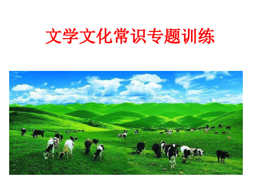 高考复习文学文化常识专题训练PPT课件