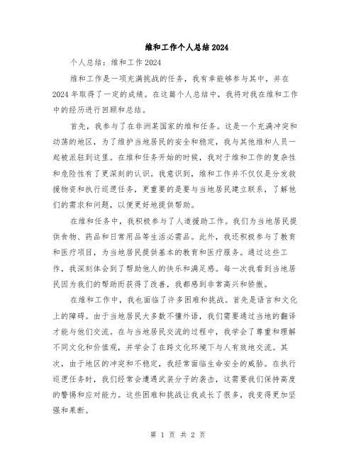 维和工作个人总结2024