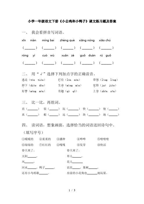 小学一年级语文下册《小公鸡和小鸭子》课文练习题及答案
