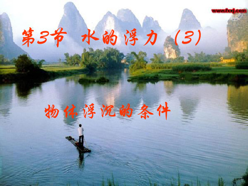 初中科学浙教版八年级上册1.3水的浮力2