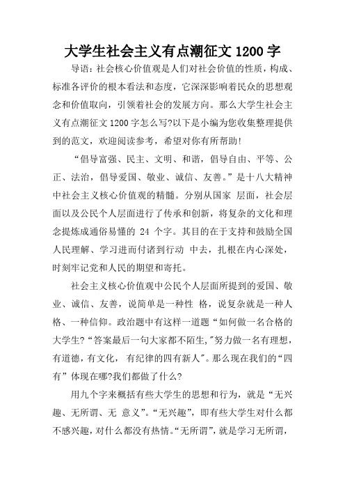 大学生社会主义有点潮征文1200字