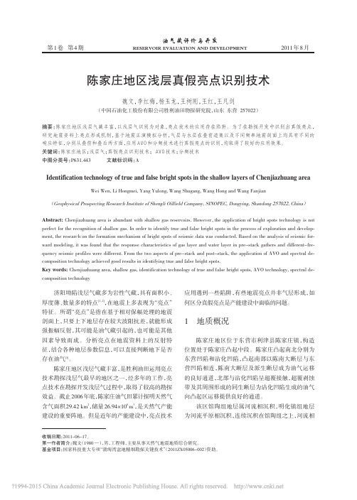 陈家庄地区浅层真假亮点识别技术_魏文