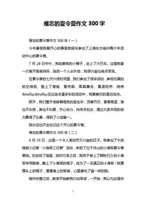难忘的夏令营作文300字