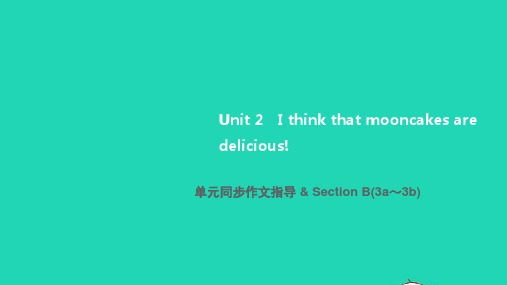 九年级英语全册Unit2单元同步作文指导SectionB3a_3b人教版