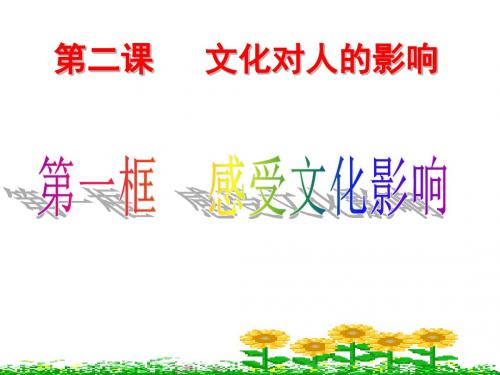 2.1文化对人的影响——感受文化的影响