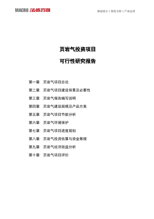 页岩气投资项目可行性研究报告
