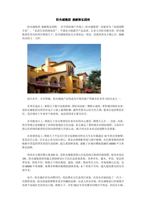 阳光城集团 鼎献恢弘园林