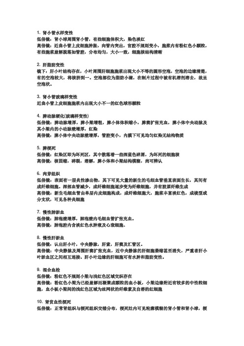 病理切片