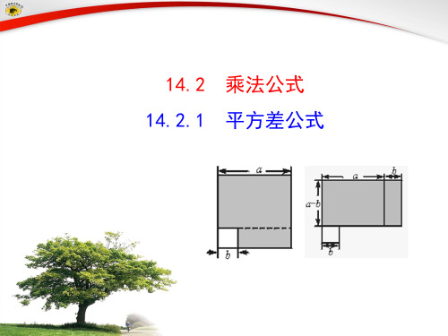 14.2.1  平方差公式